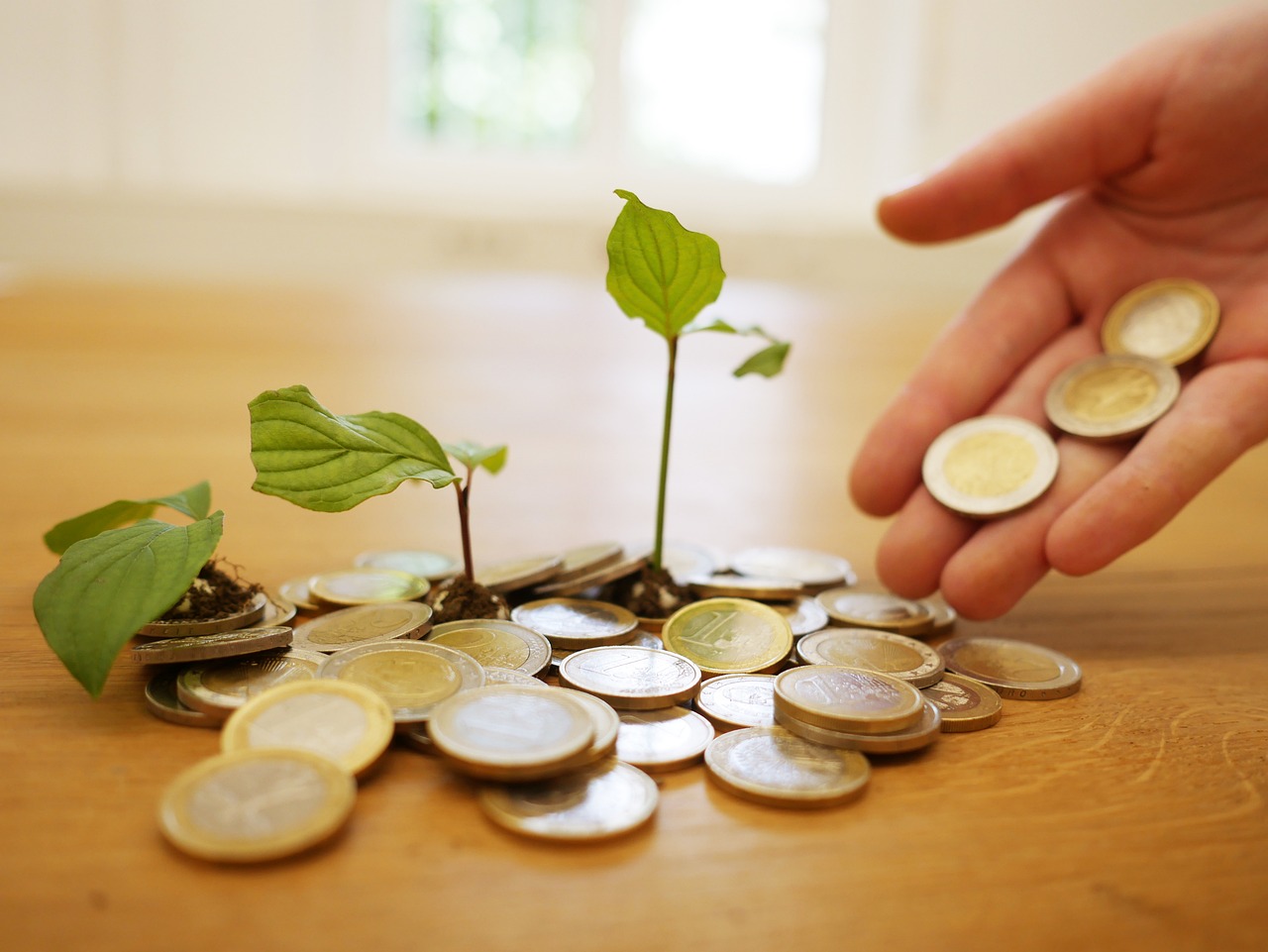 multiply, money, growth, business, coins, wealth, investments, cash, currency, finance, success, savings, bank, profit, multiply, multiply, multiply, multiply, multiply