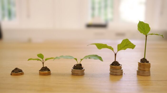 growth, credit, cost, interest charges, finance, money, business, investments, loan, payment, income, wealth, bank, cash, coin, cost, cost, cost, cost, cost, income, income
